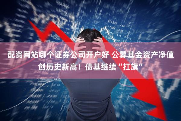配资网站哪个证券公司开户好 公募基金资产净值创历史新高！债基继续“扛旗”